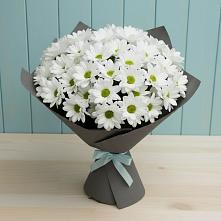 Букет цветов из:  Хризантемы в Возрождение