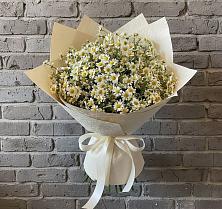 Букет цветов из:  Ромашки #REPLACE_PRED# Возрождение