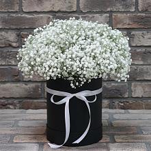 Цветочная композиция из Гипсофила в шляпной коробке в Возрождение