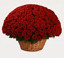 Премиум букет из: Розы в Возрождение